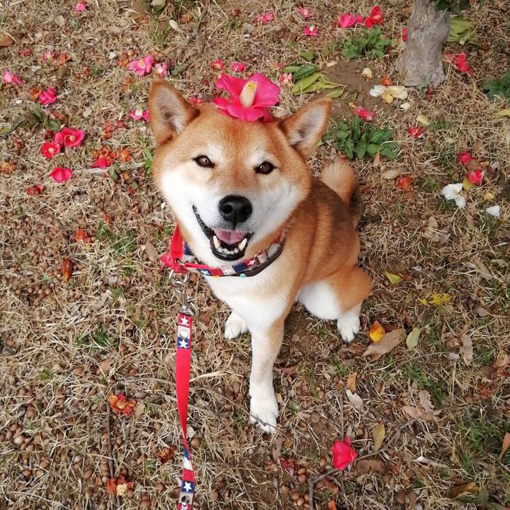 Ac0b1f7a 3ccf 4e54 b3eb 2537ab2384dd 1647415221432