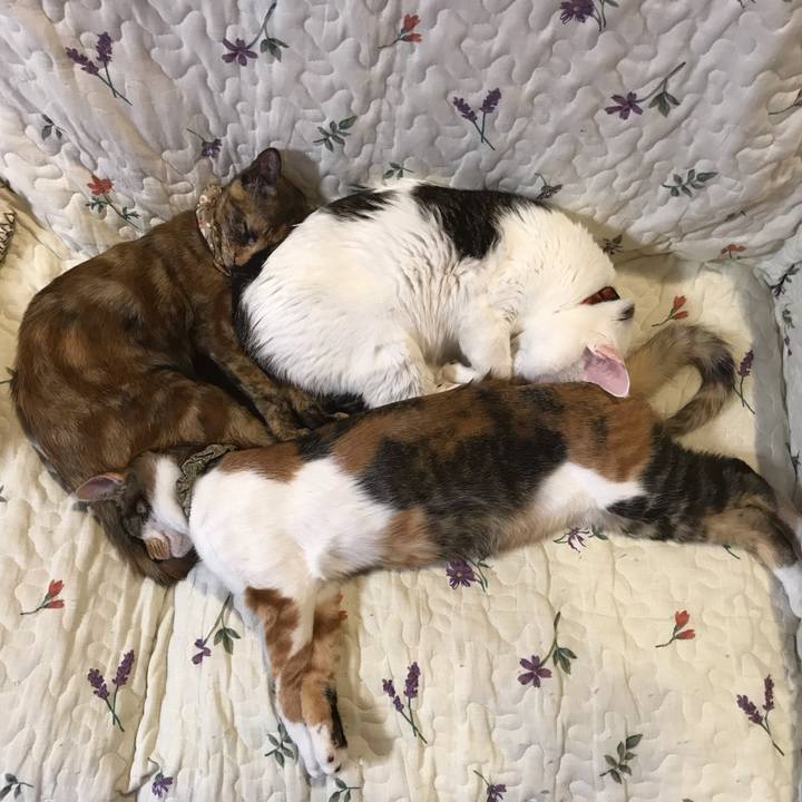 Ac0b3267 bff2 4318 b2f1 4de93a93bdc9 1607163645997