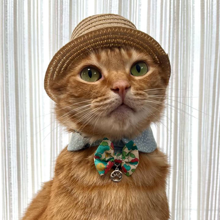 Ac0b51f2 ae0f 40eb a963 c3c7e92456a2 1654777579309