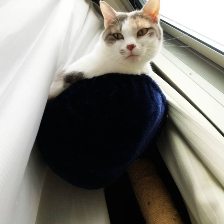 Ac0b8164 95c9 496f 9d7d 1f819bfb3285 1538878262387