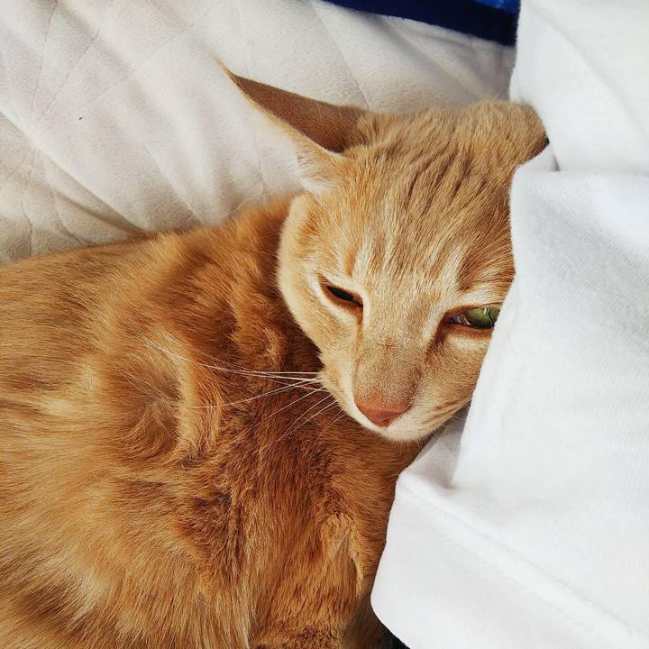 Ac0b8bce 14a9 4faa bdbf 3a0f4c46bcb6 1672368197656