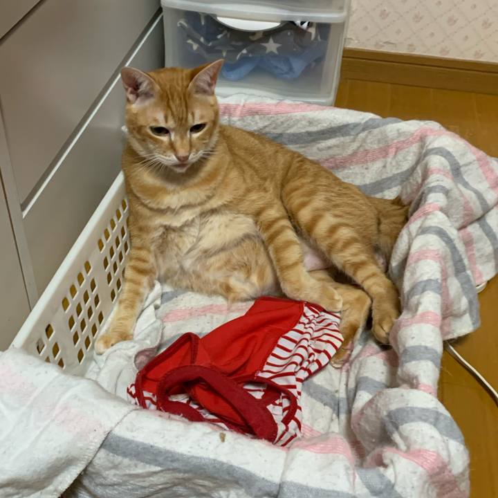 Ac0bc8c6 f387 445d b4fe 4bcb4d93128b 1585134127566