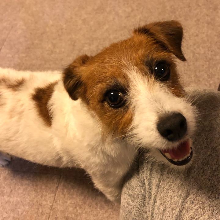 Ac0bcf4a 1691 4360 929b 16d01fcb152c 1563018587543