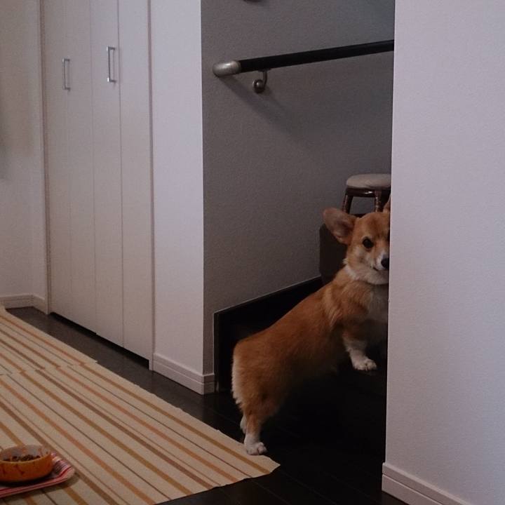 Ac0bdf5b 392a 444c 8fb2 5a14e9eb5cc1 1534734117288