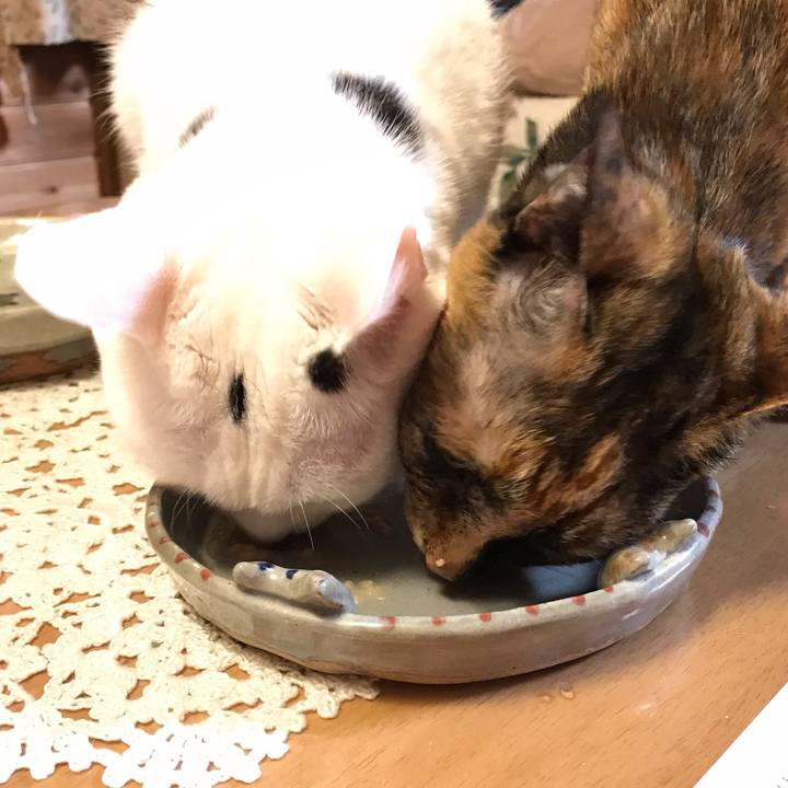 Ac0be4be 4178 4602 b6b3 228967e55d68 1648115694093