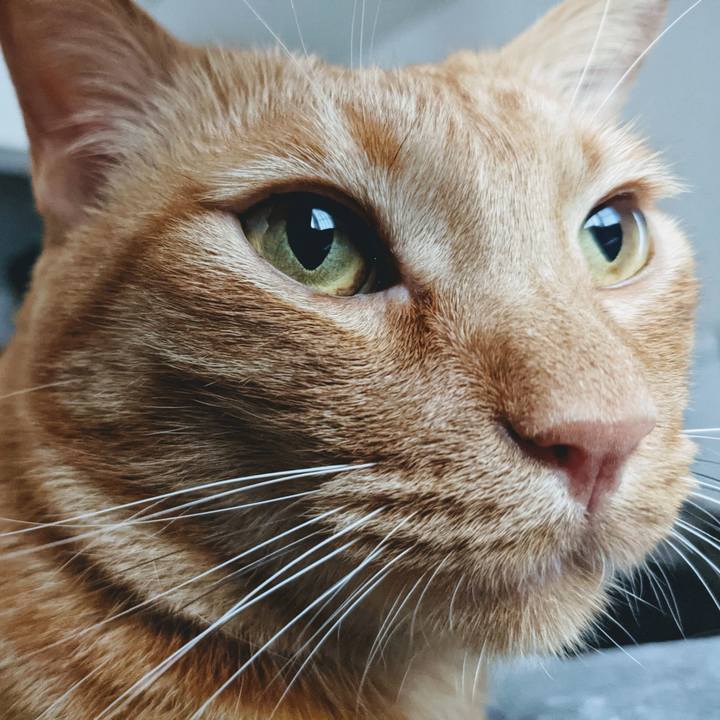 Ac0be78f 7300 4ab9 a9bc f2ed01d8aebf 1622860230833