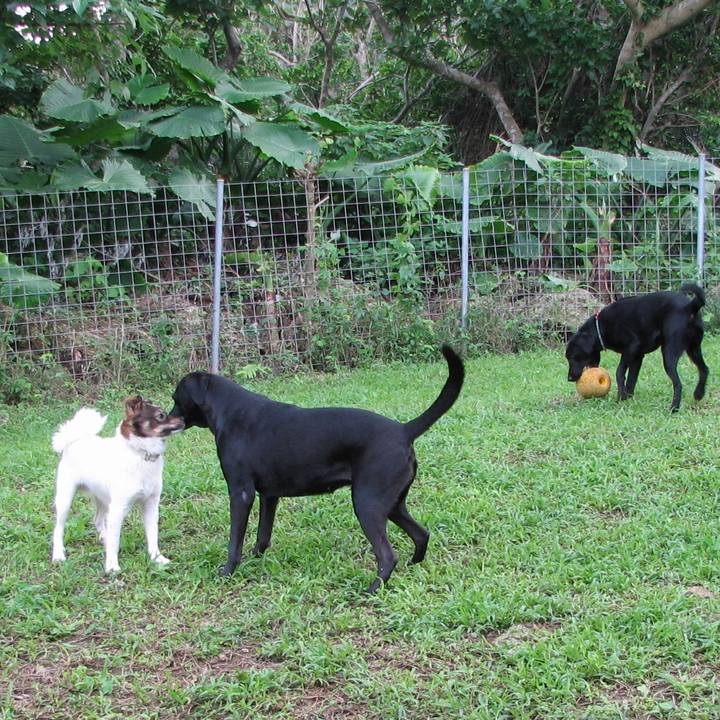 Ac0bfb87 aa01 4fd8 a313 9de9c973d873 1524836317979