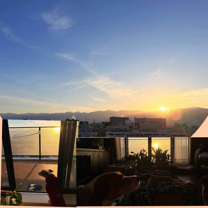 Ac0c143c 45dd 40cf 9be9 c8eaa496249d 1770703007955