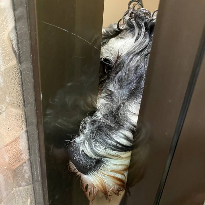 Ac0c2328 9b7e 48cb b61d de60539ed211 1580567003396