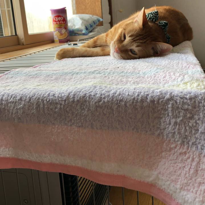 Ac0c35cb 931d 4707 a06d 047b44f23b23 1578009822486