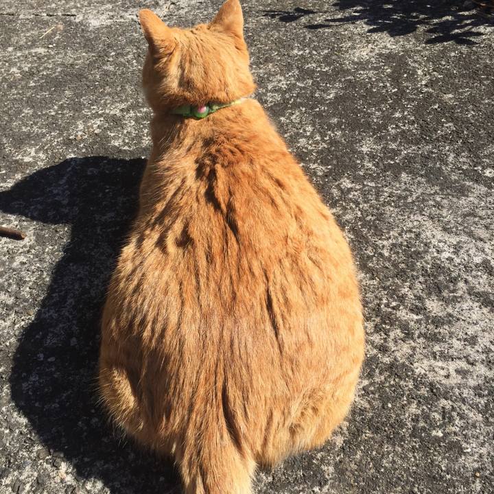 Ac0c443d ff72 4446 989b ebacb4ffb988 1517996990327