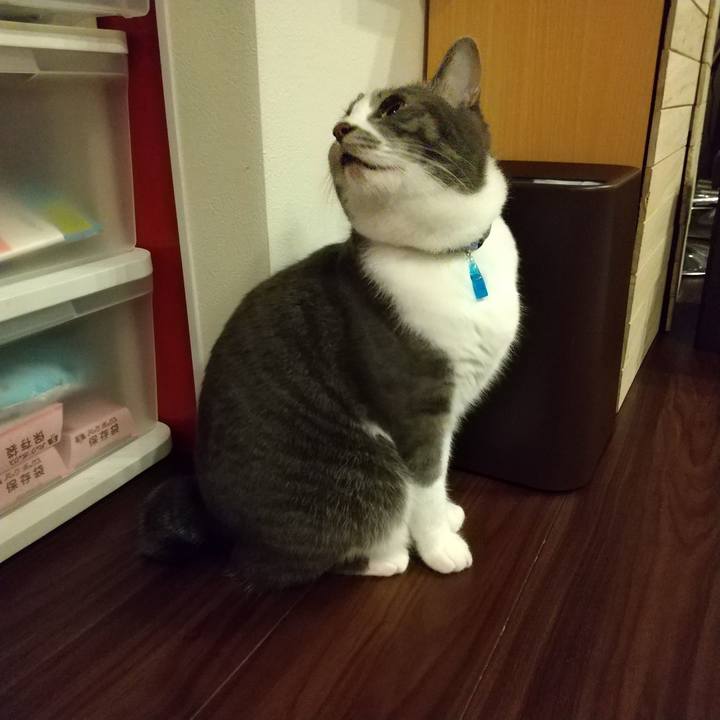 Ac0c99e7 7d18 45b9 81ac 6f2f3cc99307 1606480501317