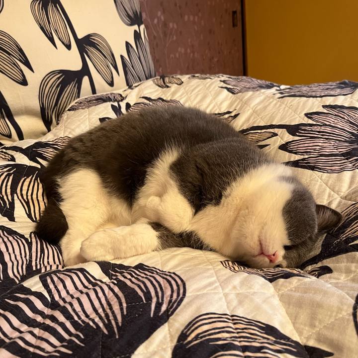 Ac0cbe32 adcc 40e9 a542 ee8b21b237a6 1642912662794