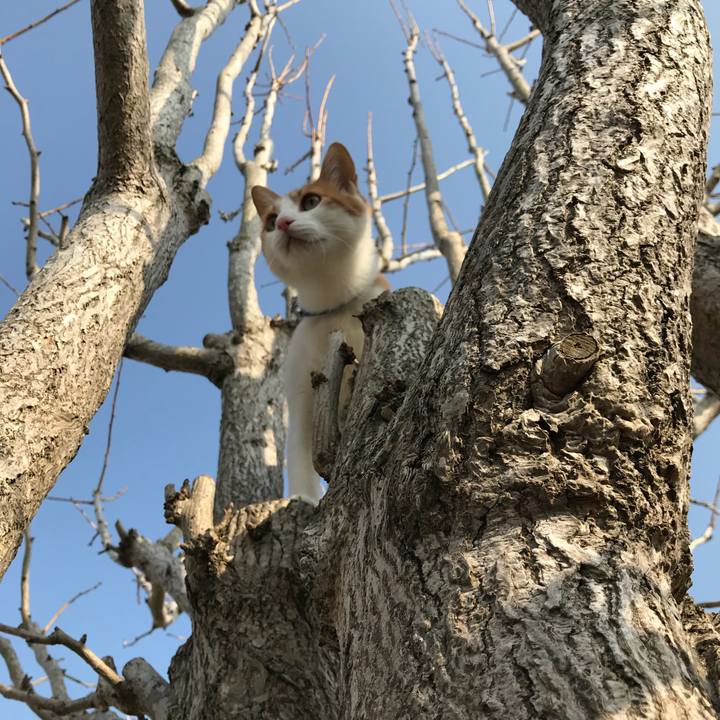 Ac0cdb93 019e 483b 8b4a 80d2731b8307 1520921612317