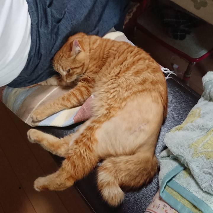 Ac0cfbd3 6c22 40a4 8f0d abc7bd237721 1656192999030