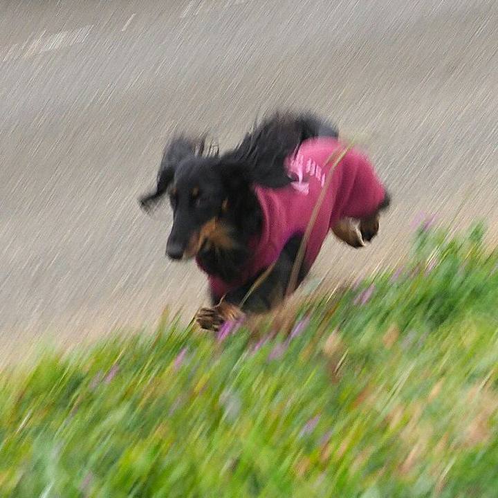 Ac0d1ec6 0d7a 42f0 a390 246fb0498771 1577001077497