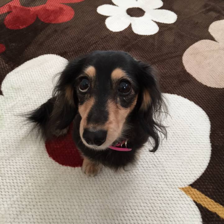 Ac0d5879 00fa 4289 b6a7 9f0b47464680 1544313202404