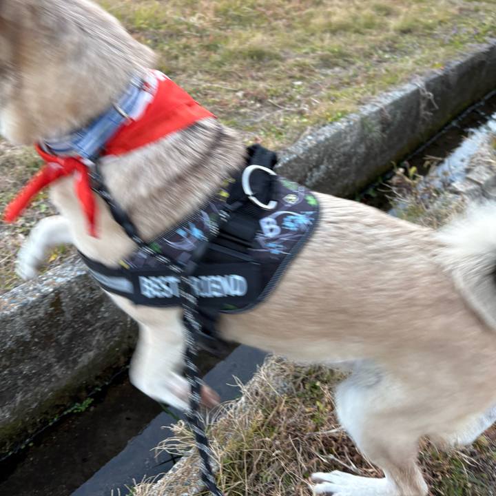 Ac0d80f2 d75e 454a bed7 ed538a8ecd91 1735902807222