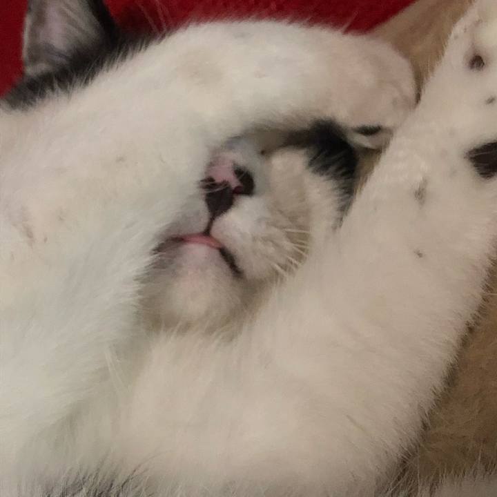 Ac0d8170 5e3f 424f 8632 43f5fc7d8bc9 1571402784518