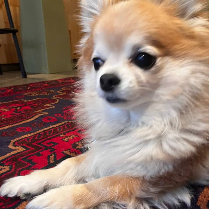 Ac0d8a9e 9230 4c26 85d9 e8bd97ac82bd 1770993208984