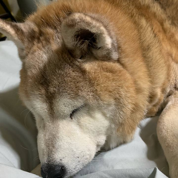 Ac0d931c 11b0 4395 af10 29a795991f71 1671719574445