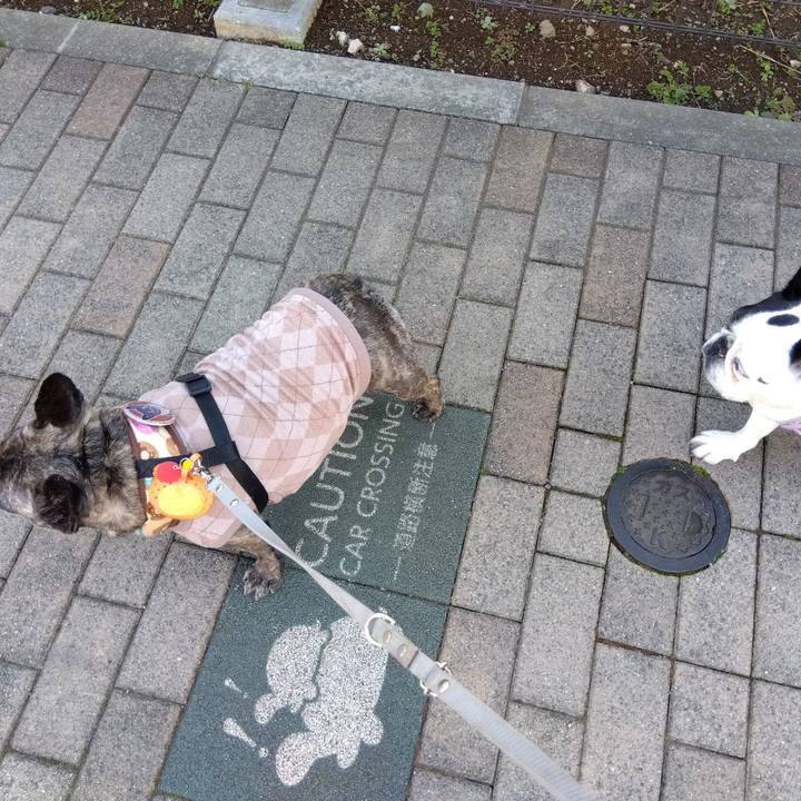 Ac0deebd 34a7 4825 9421 e0e5f988ae60 1710398564792