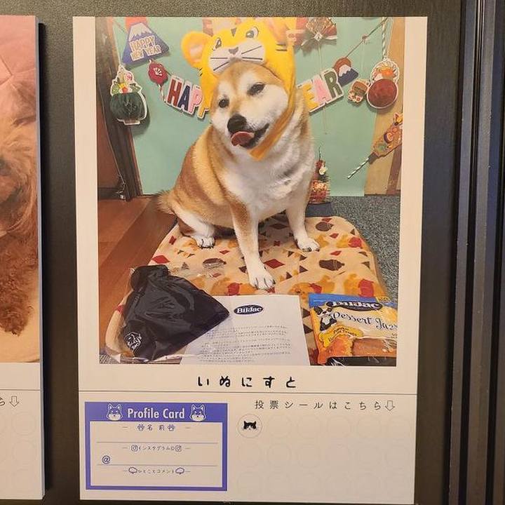 Ac0e2398 4986 4fa6 b71f 3393ab7f6af6 1645172715015