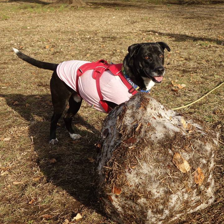 Ac0e57dd ec8c 4fe9 815f 77484abd3887 1676165097892