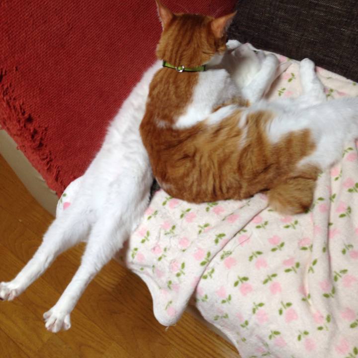 Ac0e5a6b 107c 440f ae09 7cec91082e75 1509032760051