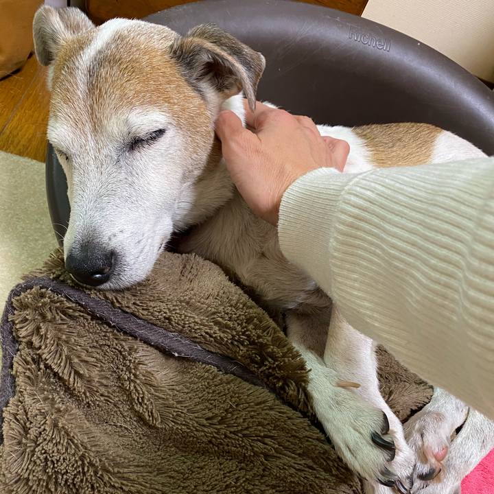 Ac0e688c 9408 4997 9d6f 407edb78a115 1605962002872