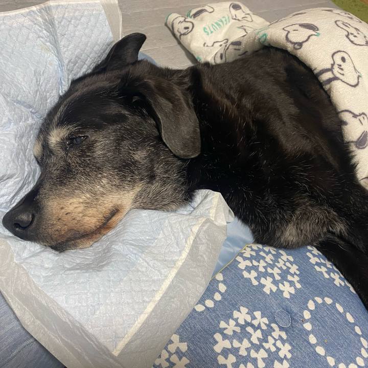 Ac0e6aeb 3014 4ead 99ea 4249124a80ec 1753684282048