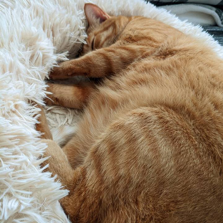 Ac0e7021 064a 4f6e aece e097a0937c3c 1667453605343