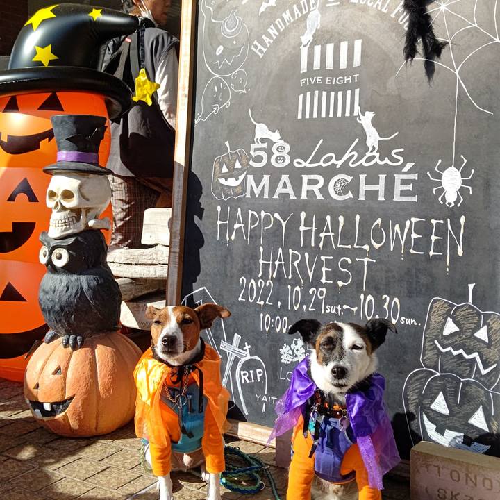 Ac0ea4c4 f2d4 4fd0 ae5b 5ce1b7fed0ec 1667185728709