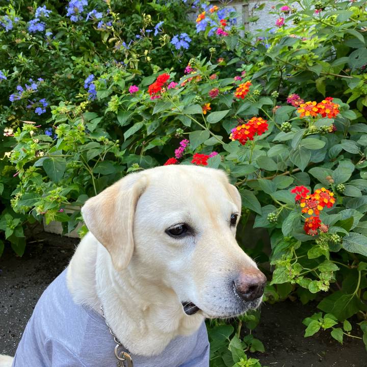 Ac0eac61 b493 4e70 8db0 813016ce7e91 1667392402506