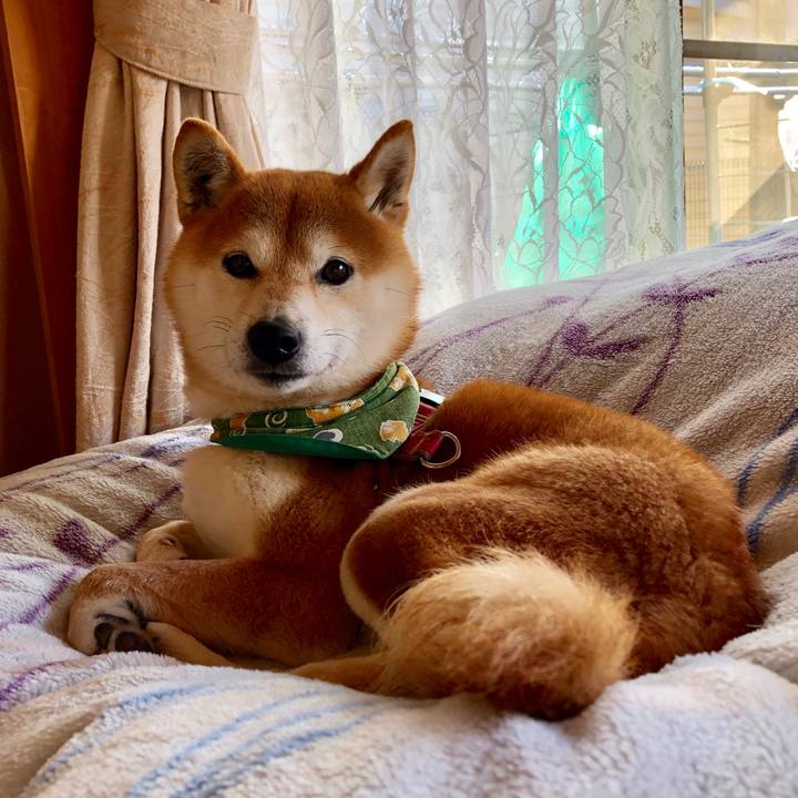 Ac0f0b76 4f27 4cdf 840b 4d637ed3204d 1549269103162