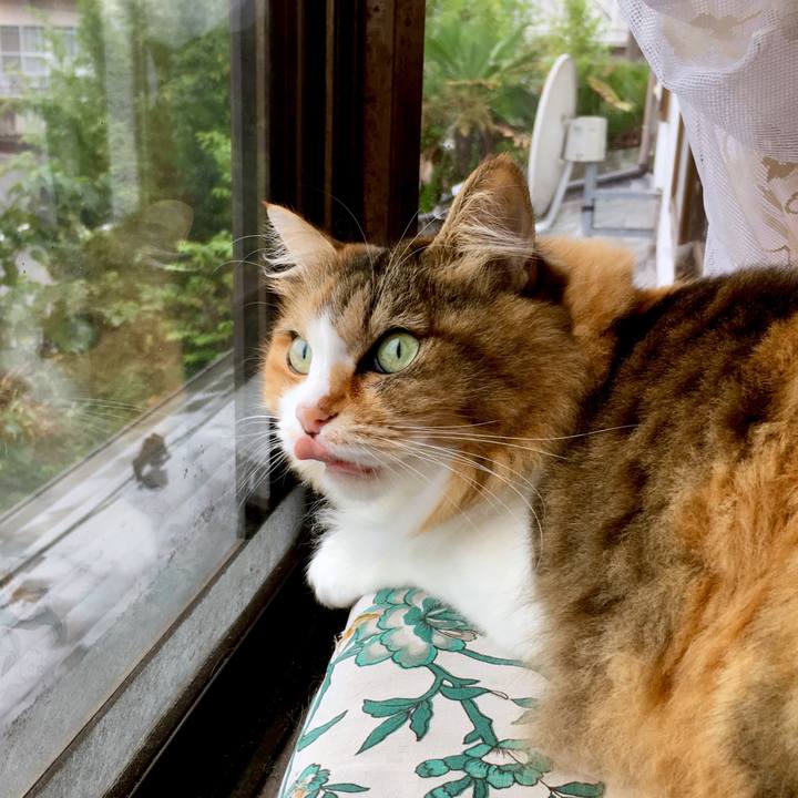 Ac0f157a d4a0 4c03 b281 de75e68aa8ed 1569216742220