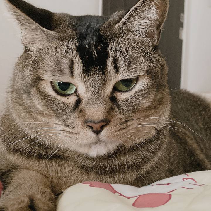 Ac0f8f58 06bc 4c60 ac50 ca28a7ef1866 1729766669985