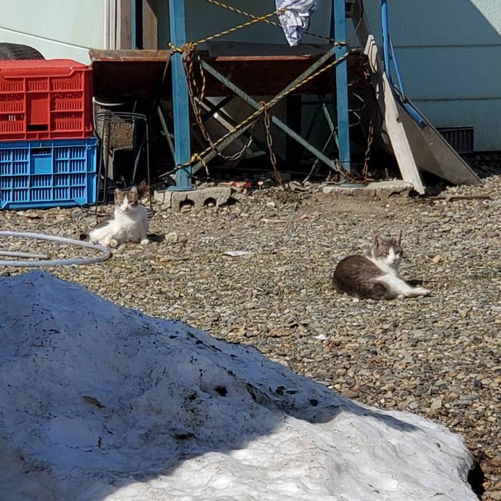 Ac0fdcda f37d 4981 a678 60273f38d737 1713237280149