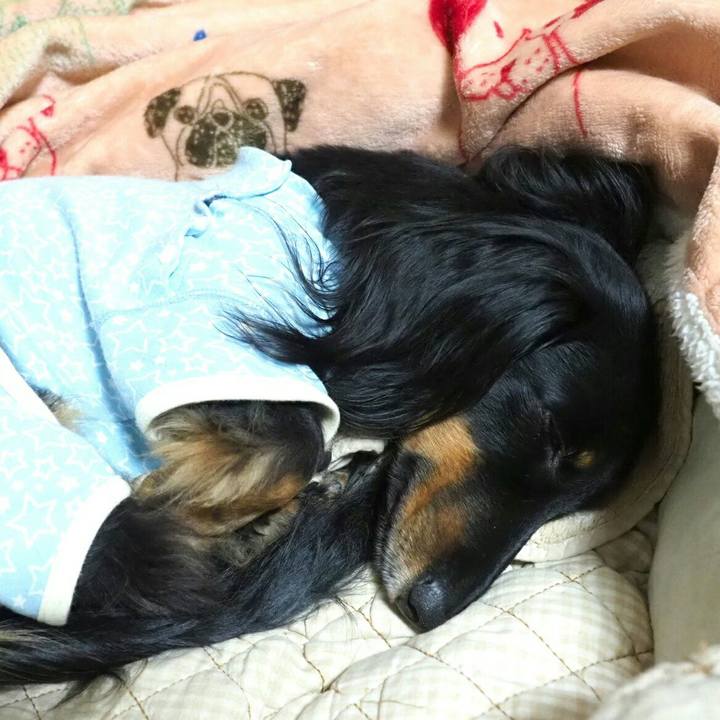 Ac10013e 9c82 46de ac4d c6c7f154bc06 1553784501884