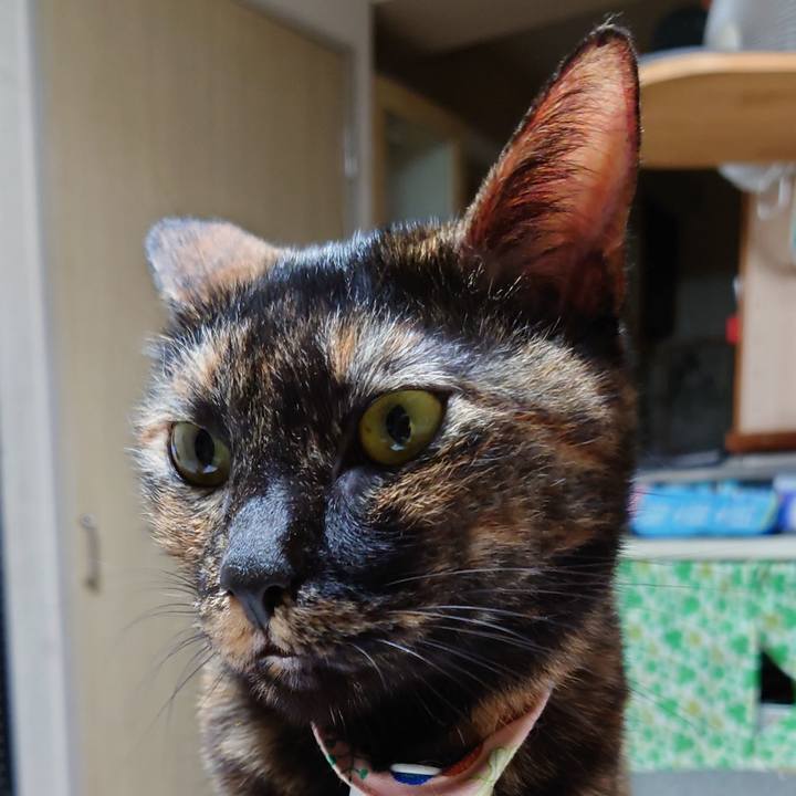 Ac1001af 3faf 486e aff2 5ed7decafcef 1630987395807