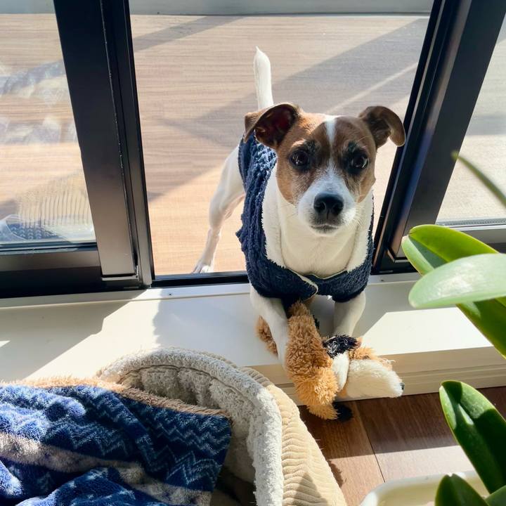 Ac10043e b189 4f68 98f6 f0a14abb76f3 1739410749333