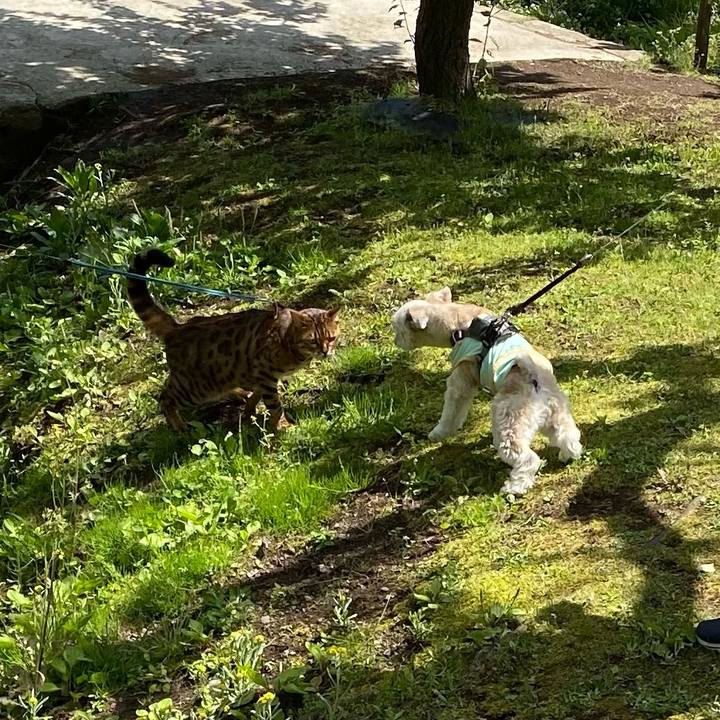 Ac102e55 c52b 455d b288 c245b77a373f 1618741082730