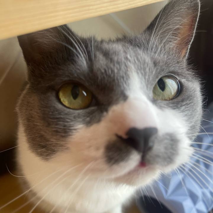 Ac105636 60c9 45b4 abda b07b5016c361 1751760400544