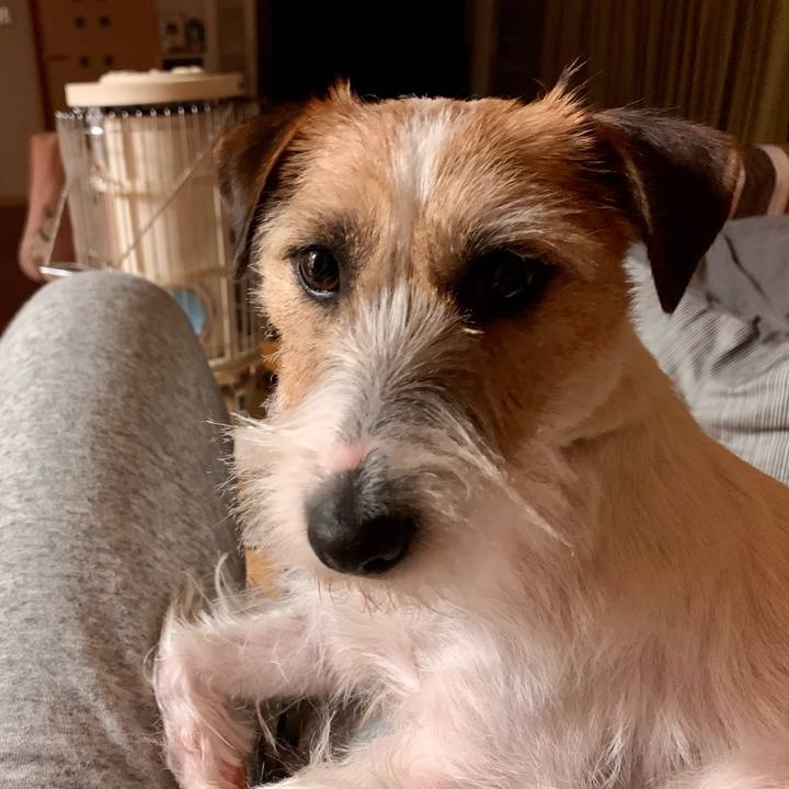 Ac10760c 4d77 45a6 8fdf cec286469bc5 1609845351847