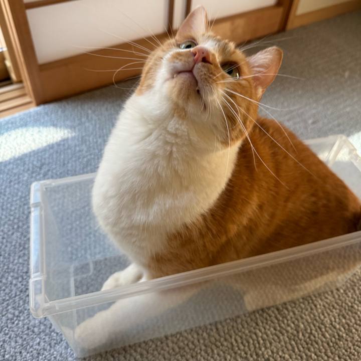 Ac107d3e 3233 4d92 852d d74f24dabbf4 1769834179544