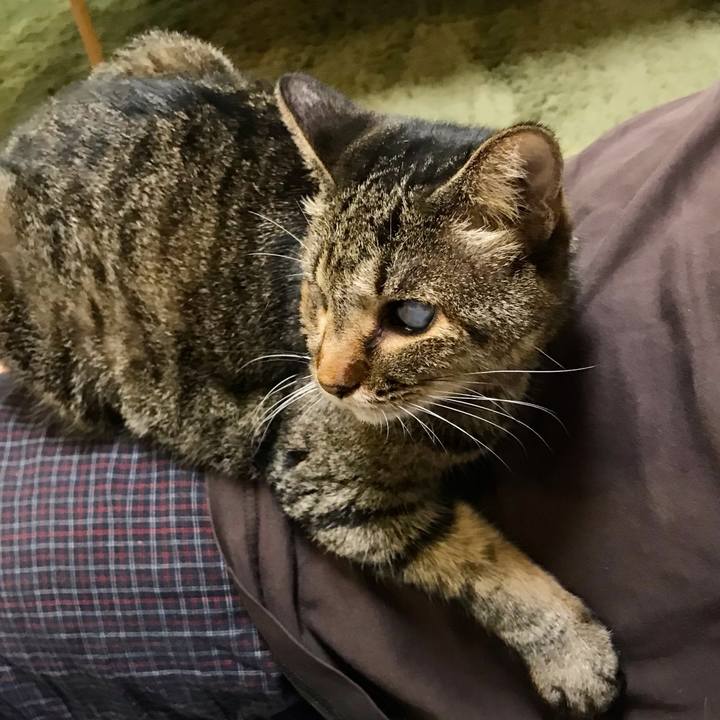 Ac1086ff 1122 4f40 9d1f 48bcb453d1cd 1631698769134