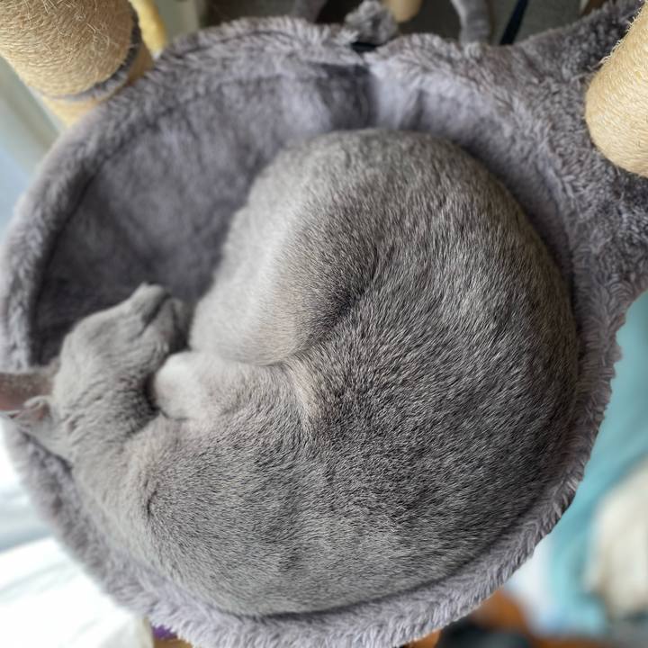 Ac109c95 edde 4512 8f0d 5788338abe1f 1645073404731