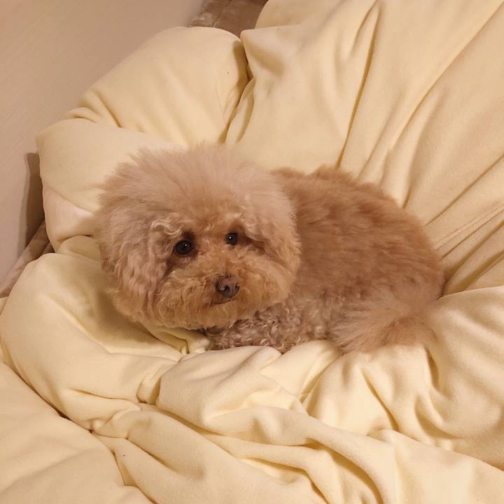 Ac10da35 92e1 47f9 885b 14aef84b786b 1521149964897