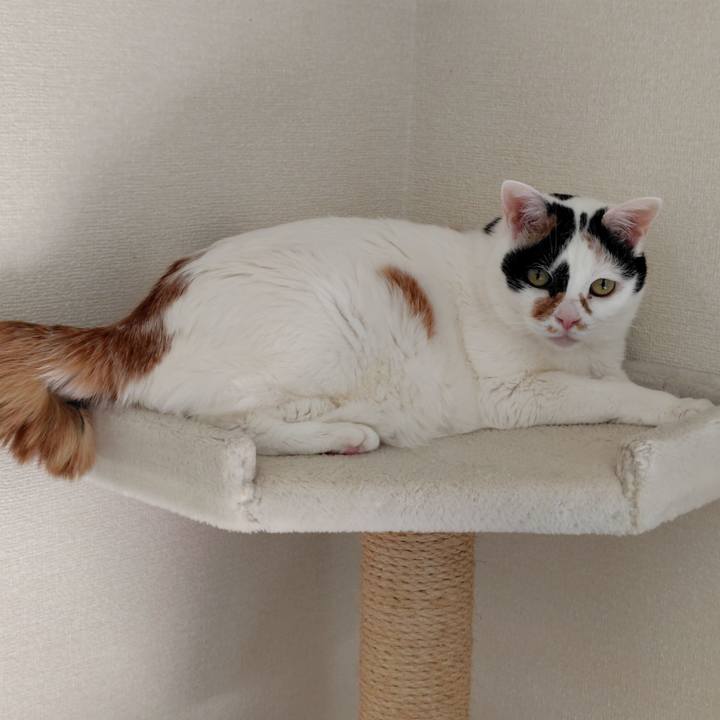 Ac10f477 7a04 4e95 97d2 777f88cb7abc 1774006979794