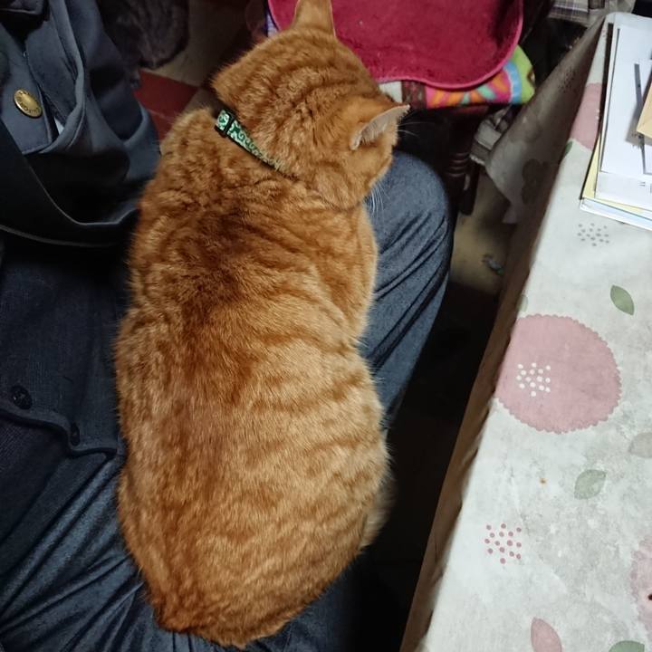 Ac10f576 48dc 4a66 8ba3 c9e38d1714ff 1581472887107